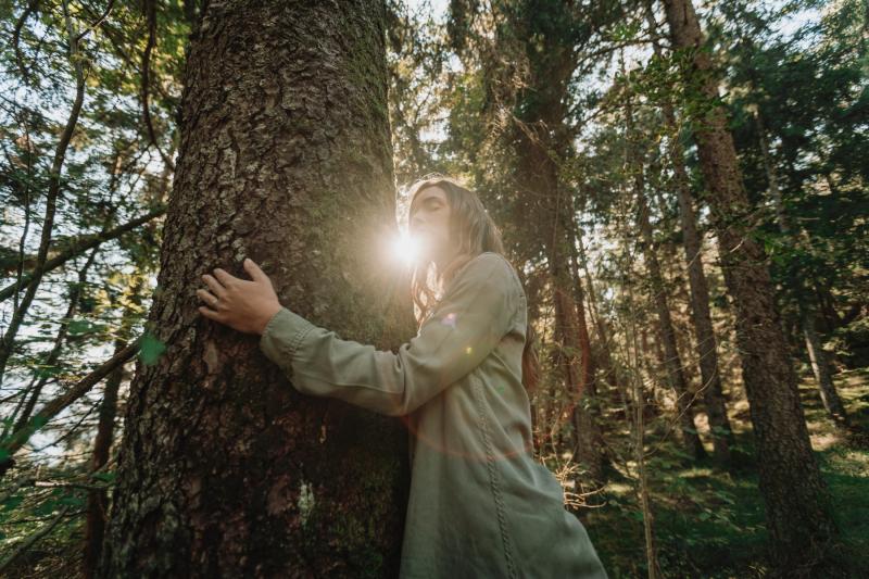 Abbracciare gli alberi ai piedi delle Dolomiti di Brenta