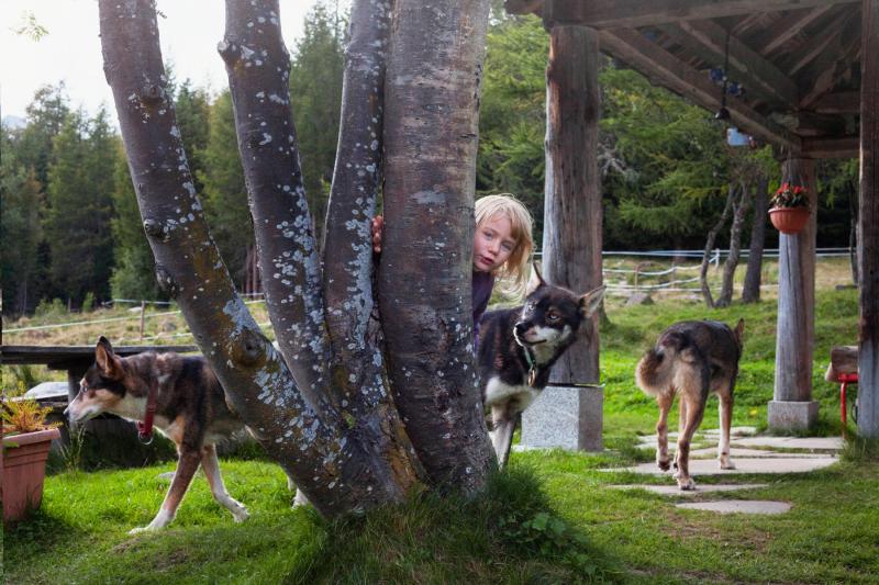 attività con i cani alla fattoria didattica