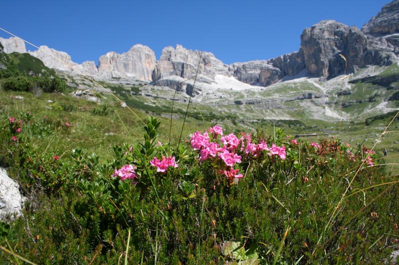 Camminare in montagna COPIA