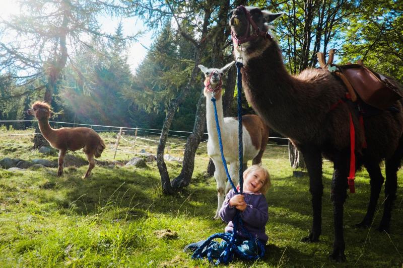 Trekking con i lama a Deggia