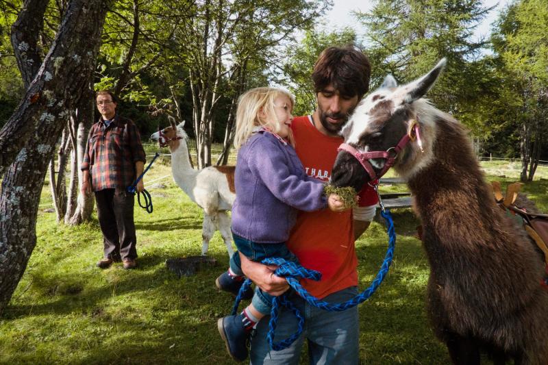 trekking con i lama alla fattoria didattica